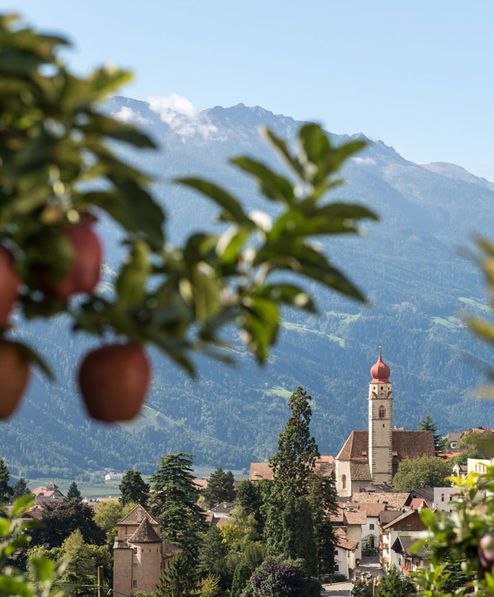 Blick auf Partschins - Apfelbaum